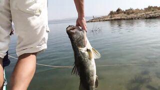 Lake Nasser (озеро Нассер): маршрут от Aswan (Асуан) до Abu Simbel (Абу-Симбел)