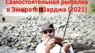 Шарджа (ОАЭ). Бесплатная рыбалка у набережной, что по рискам?