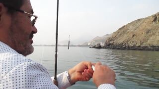 Шарджа (ОАЭ). Бесплатная рыбалка у набережной, что по рискам?