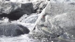 Шарджа (ОАЭ). Бесплатная рыбалка у набережной, что по рискам?