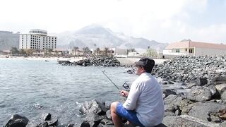 Шарджа (ОАЭ). Бесплатная рыбалка у набережной, что по рискам?