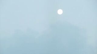 Шарджа (ОАЭ). Бесплатная рыбалка у набережной, что по рискам?