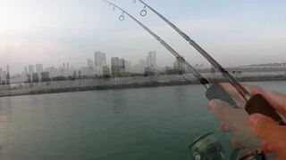 Шарджа (ОАЭ) у набережной это вообще рабочая рыбалка?