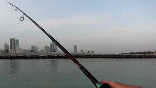 Шарджа (ОАЭ) у набережной это вообще рабочая рыбалка?