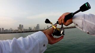 Шарджа (ОАЭ) у набережной это вообще рабочая рыбалка?