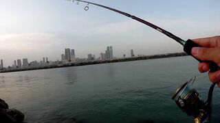 Шарджа (ОАЭ) у набережной это вообще рабочая рыбалка?