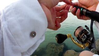 Шарджа (ОАЭ) у набережной это вообще рабочая рыбалка?