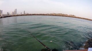 Шарджа (ОАЭ) у набережной это вообще рабочая рыбалка?