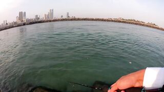 Шарджа (ОАЭ) у набережной это вообще рабочая рыбалка?