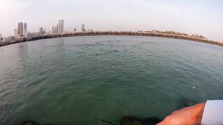 Шарджа (ОАЭ) у набережной это вообще рабочая рыбалка?