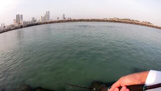 Шарджа (ОАЭ) у набережной это вообще рабочая рыбалка?