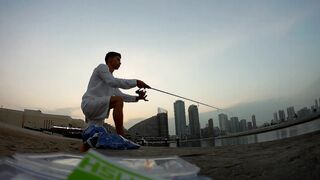 Шарджа (ОАЭ) у набережной это вообще рабочая рыбалка?