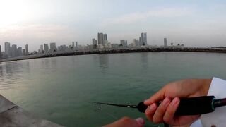 Шарджа (ОАЭ) у набережной это вообще рабочая рыбалка?