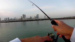 Шарджа (ОАЭ) у набережной это вообще рабочая рыбалка?