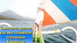 Бали Амед крупная баракуда у Вулкана Агунг