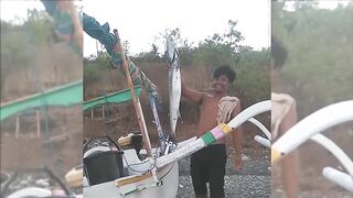 Бали Амед крупная баракуда у Вулкана Агунг