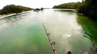 Индонезия, спиннинг по острову Батам. В поисках рыбы.