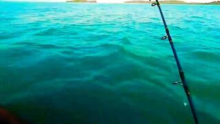 Индонезия, спиннинг по острову Батам. В поисках рыбы.