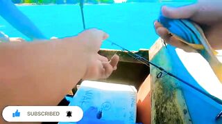 Индонезия, спиннинг по острову Батам. В поисках рыбы.