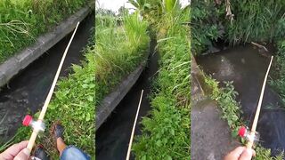 Бали, Убуд и рыбалка у берега