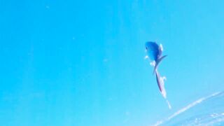 Бали, ловля тунца. Морская рыбалка.