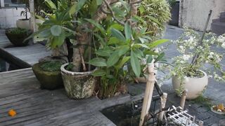 Семиньяк на Бали стоит ли жить в этом районе