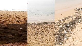 Санур, пляж после шторма и береговая рыбалка