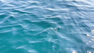 Мусандам, Оман поймал крупного GT