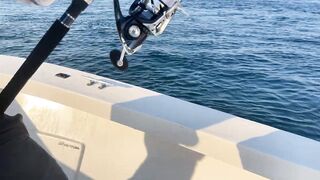 Мусандам - ловля GT