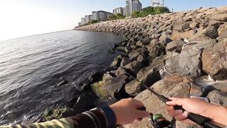 Дубай Марина для береговой рыбалки что можно поймать в городе?