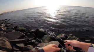 Дубай Марина для береговой рыбалки что можно поймать в городе?