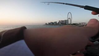 Дубай Марина для береговой рыбалки что можно поймать в городе?
