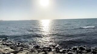 Дубай Марина для береговой рыбалки что можно поймать в городе?