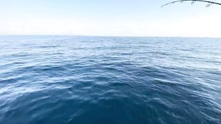 Фуджейра: рыбалка без призывов и рекламы