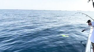 Фуджейра: рыбалка без призывов и рекламы