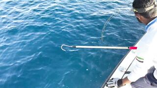 Фуджейра: рыбалка без призывов и рекламы