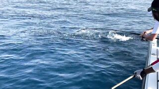 Фуджейра: рыбалка без призывов и рекламы