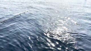 Фуджейра: рыбалка без призывов и рекламы