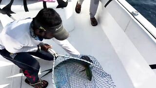 Фуджейра: рыбалка без призывов и рекламы