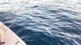 Фуджейра: рыбалка без призывов и рекламы