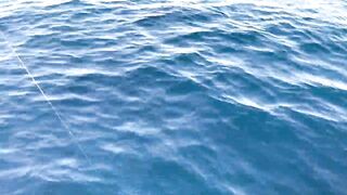 Фуджейра: рыбалка без призывов и рекламы