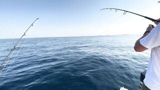 Фуджейра: рыбалка без призывов и рекламы