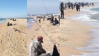 Анапа, ловят саргана и кефаль