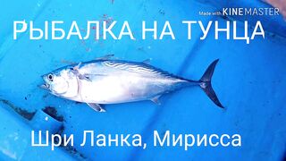 Мирисса, Шри-Ланка. Рыбалка на тунца.