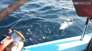 Мирисса, Шри-Ланка. Рыбалка на тунца.