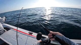 Мирисса, Шри-Ланка. Глубоководная рыбалка на джиг.