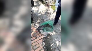 Муйне - Фантьет рыбалка без цен и дат