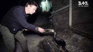 Китай, рыбалка с бакланами и другие способы