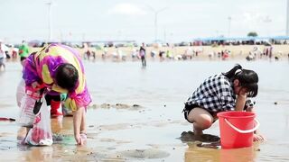 Китай, рыбалка с бакланами и другие способы