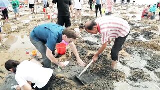 Китай, рыбалка с бакланами и другие способы